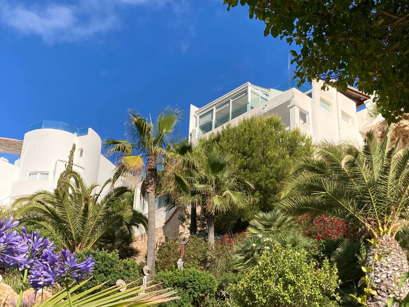 Whitewashed Ibicencan architectural facade - Bougainvillea 15
